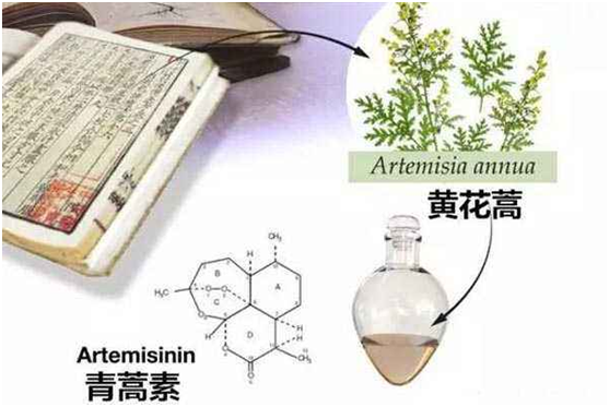 米兰平台,米兰（中国）：向中医药看齐，与世界共享中医药文化(图1)